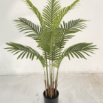 PALM TREE OV077