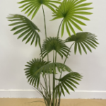 FAN PALM TREE OV086