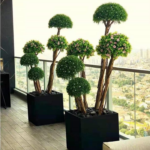 BALL TREE OV181030