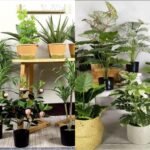 MINI MIX PLANT OV18101359