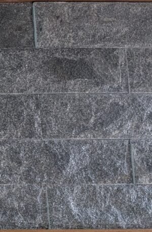 BLACK MUSHROOM MARBLE (LIGHT )