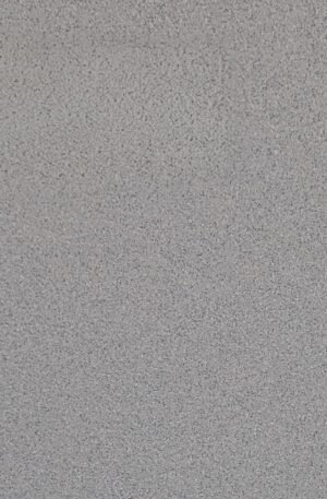 LD36T101