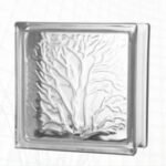 GLASS BLOCK CORAL