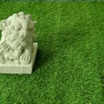 XMS07 LION