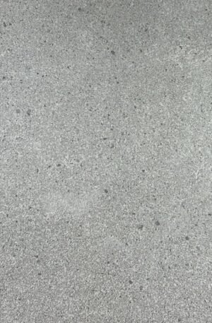 PPI803MP2